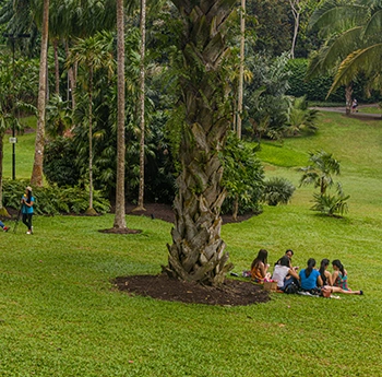 Jardin botanique